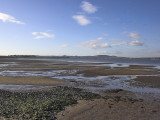 Eden estuary looking towards Guardbridge