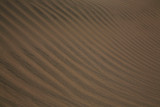 Sand_MG_4782-1.jpg