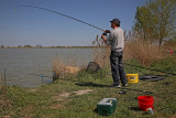 Angler ribi_MG_2098-1.jpg