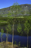 Lake jezero-PICT0037-1.jpg