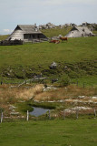 Velika planina_MG_3030-1.jpg