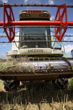 Combine kombajn_MG_8780-1.jpg