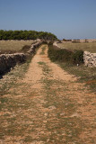 Path and stone fences pot in kamnite ograje_MG_4976-1.jpg