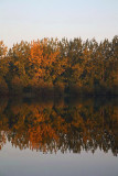 Autumn reflection jesenski odsev_MG_6934-1.jpg