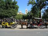 ...one of many that line the Parque Central (Colon)