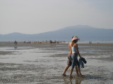 sandbar stroll