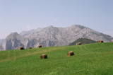 Picos de Europa