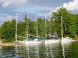 part of the fleet docked at Wellesley Island