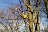 Tamron17_35mm_2.JPG