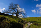 DSC_0090.JPG