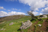 DSC_0121.JPG