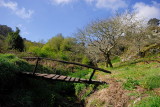 DSC_0068.JPG
