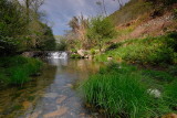 DSC_0206.JPG