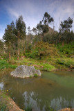 DSC_0279.JPG