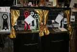 Show cagees and our cats Rosettes