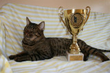 SVERAK/FIFe<br>4th Best Adult kat.lll 2006