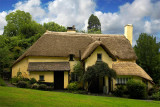 More Selworthy thatch