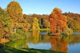 Tree and island, Stourhead