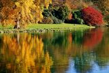 Red'n'gold, Stourhead
