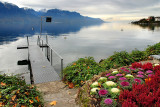Cabbage patch and lake, Montreux