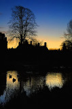 Silhouetted pond, Lower Slaughter