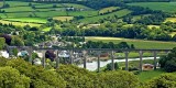 Calstock viaduct, from Cotehele