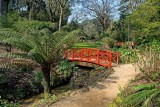 Red bridges, Abbotsbury Gardens (2369)