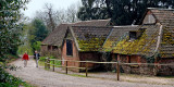 Bank Holiday stroll, Hestercombe