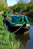 Lazy Daisy, Bradford on Avon