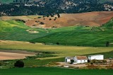 Fields and farmhouse