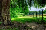 The Vyne ~ fence and path (1741)