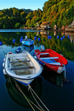 Red, white and blue, Dittisham