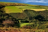 Exmoor fieldscape
