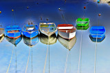 barque