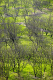 Paysage de Dordogne