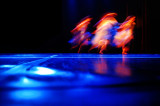 11/06/07 - Ghost Dance - La fuite