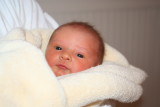 Sweet baby cakes