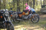 DSC_2009.JPG