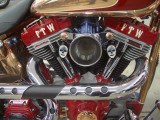 IMGP3168.jpg