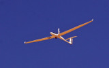 Ely glider