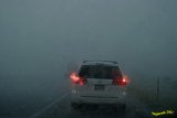 Sittin out the storm