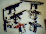 1st group of cockers (2005)