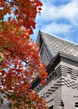 Fall colors on 11th St. NE