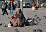 The pigeon lady, Beyazit Square