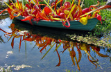 US Botanic Gardens