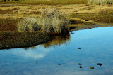 Abel Tasman