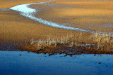 Abel Tasman