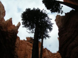 Bryce Canyon33.jpg
