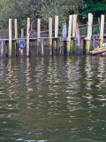 P1070394 copy.jpg
