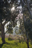 Even idyllic
